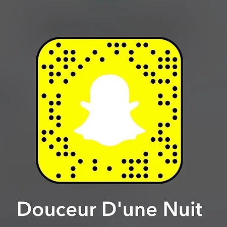 Douceur D'une Nuit Apartment